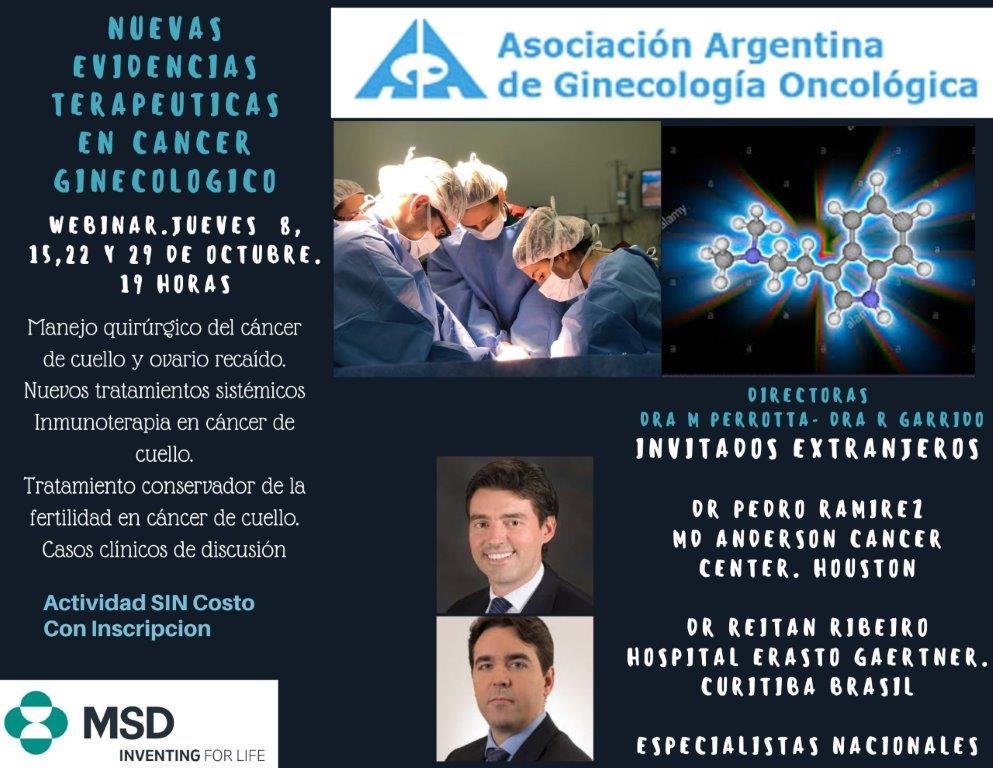 Flyer Ciclo Webinars
